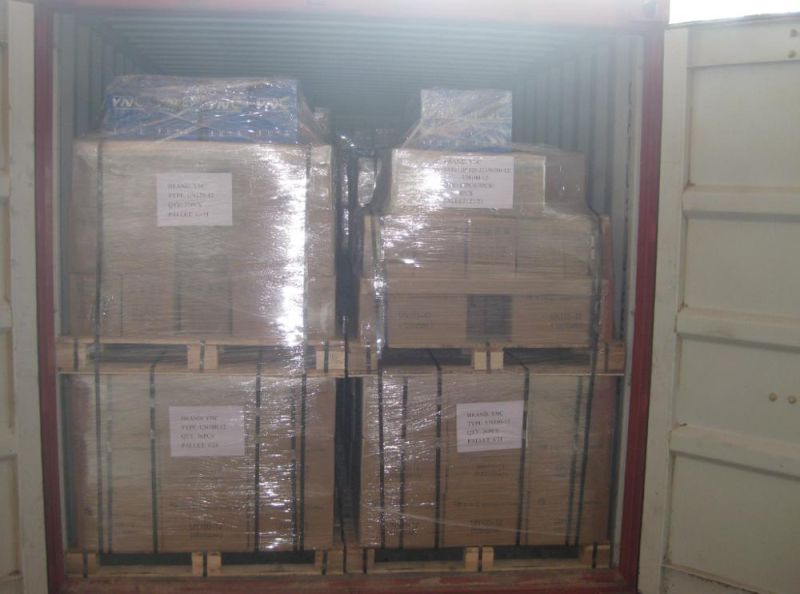 20tons Chicken Farm Equipment Galvanized Silo