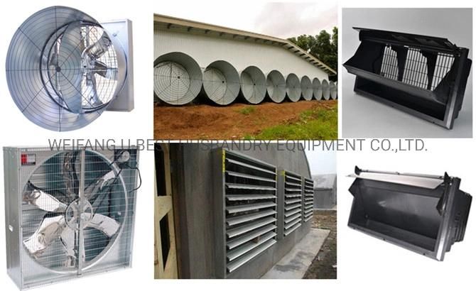 Automatic Poultry Chicken Farm Equipment for Broiler Breeding