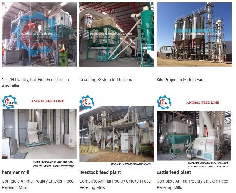 1-20t/H Stainless Steel Chicken Livestock Cattle Pig Fish Poultry Feed Pellet Making Machine Fish Food Processing Line