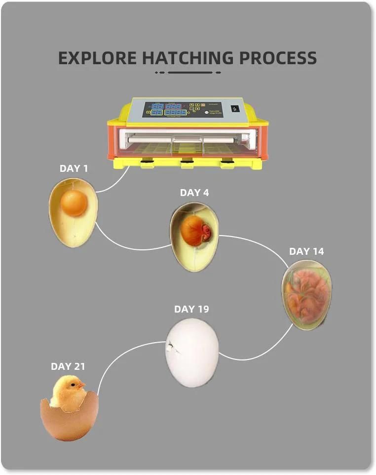 China Factory Best Price CE Approved Chicken Egg Incubator for Sale