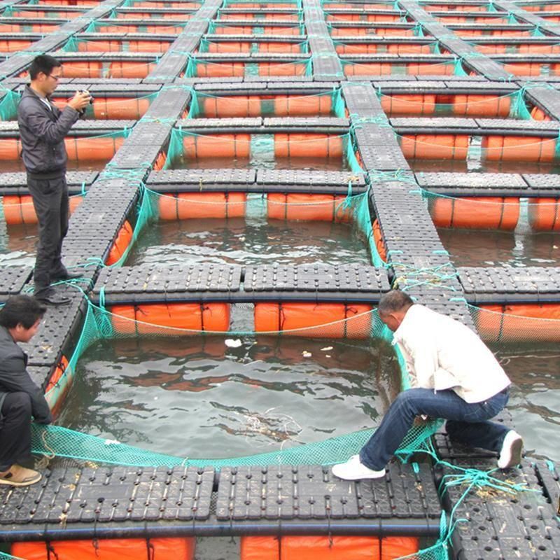 HDPE Pond Aquaculture Floating Fish Farm in Zambia