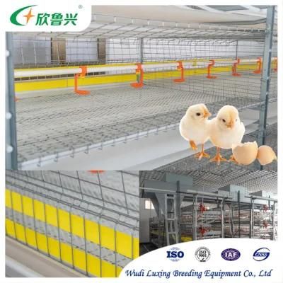 Chicken Farming Equipment H Type Stacked Poultry Layer Cage