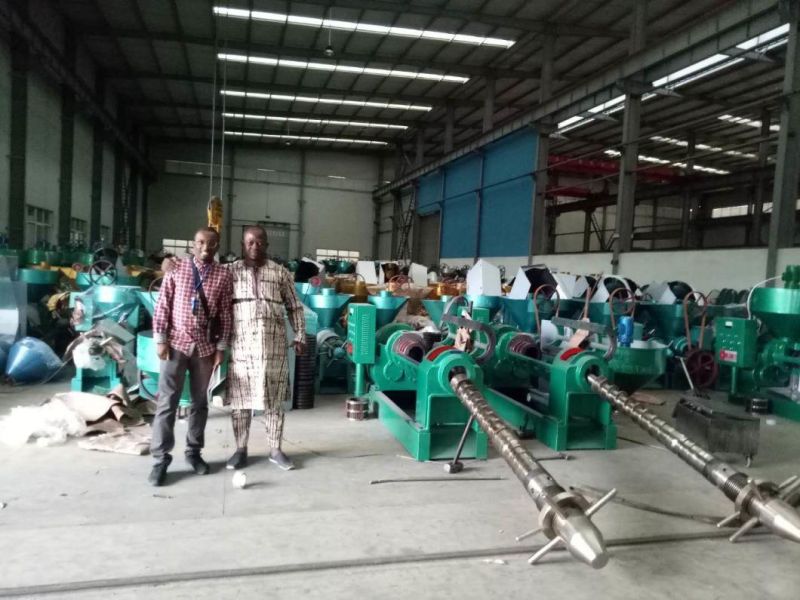 Top Selling 20tpd Sunflower Oil Press Machine (YZYX 168)