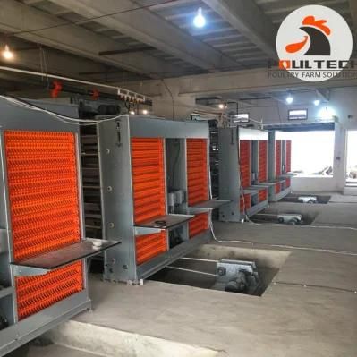 Type a Hot Galvanized Chicken Cage