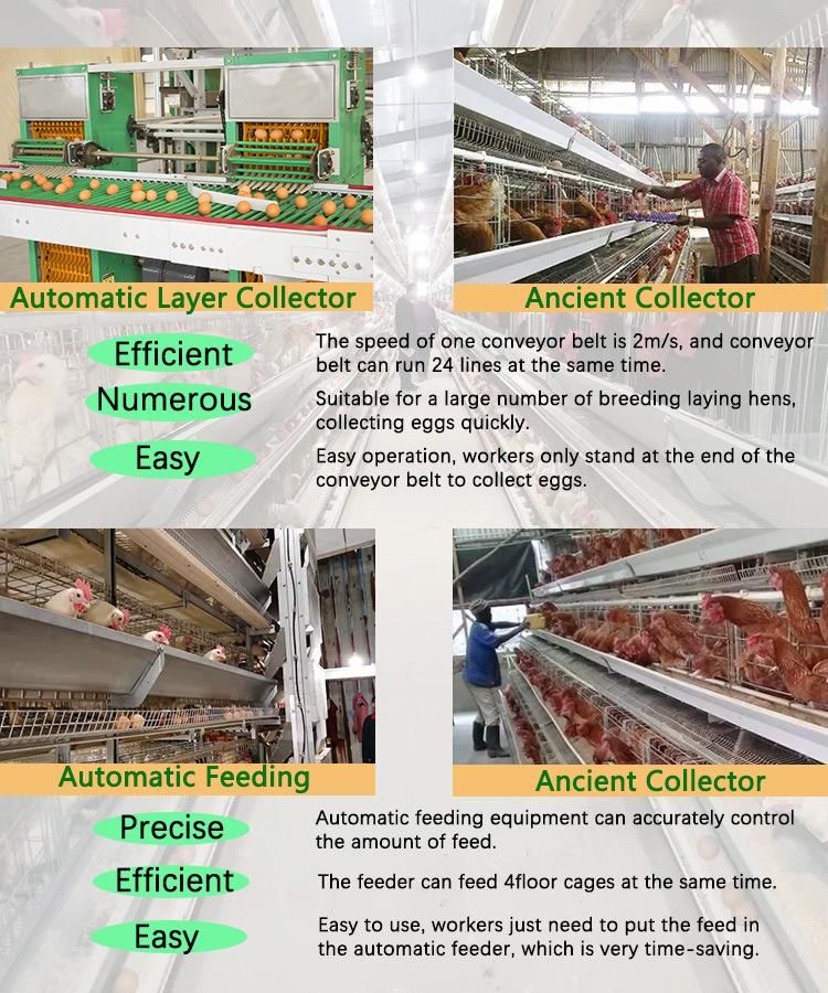 Completely Automatic Laying Hen Egg Layer Battery H Type Chicken Cages System