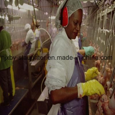 Poultry Slaughterhouse Abattoir Equipment in China Slaughterhouse for The Goose and Poultry