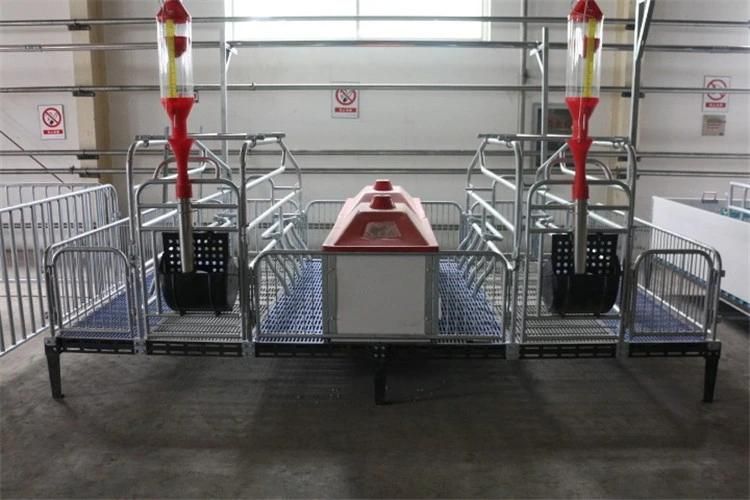 Factory Price Hot-DIP Galvanized Customized Size Pig Sow Farrowing Crate