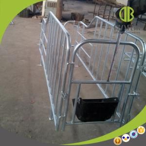 Pig Equipment Hot DIP Galvanized Pig Gestation Stall
