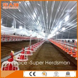 Good Quality Automatic Poultry Farm Machinery with Matching Prefab Shed Construction