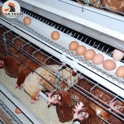 Good Price of a Type and H Type Broiler Chicken Cage and Poultry Farm Equipment