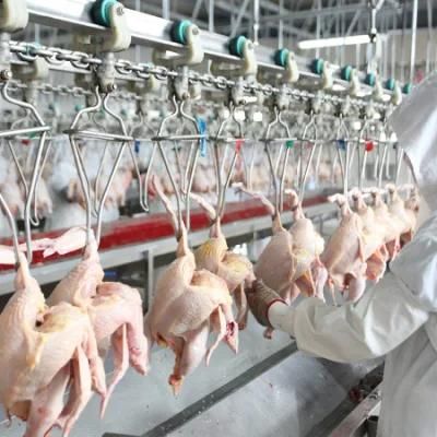 Poultry Abattoir Equipment Chicken Slaughter Line Price