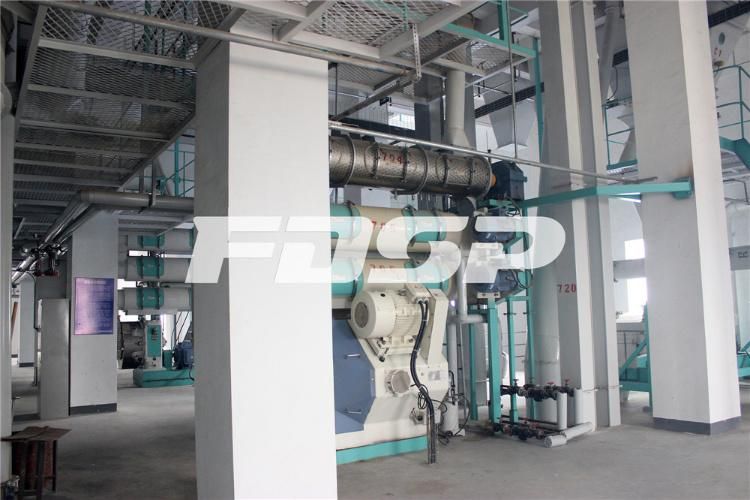 Feed Pellet Plant Manufacturing Plant for Animal Feed Production Line