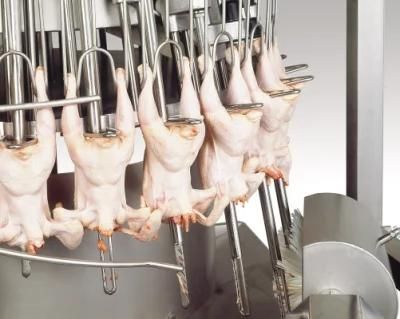 Chicken Meat Processing Equipment / Machine for Hot Sale in The Slaughterhouse