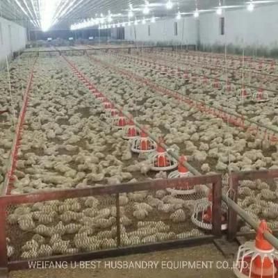 Automatic Poultry Farm Plastic Feeder and Drinker for Chicken Broiler Breeder