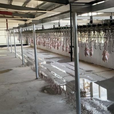 Chicken Line Poultry Plucker Slaughtering Defeathering Production Processing Killing for Sale Halal Slaughter Machine