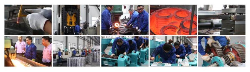 Low Residual Screw Press Oil Extraction Machinery
