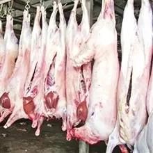 Hajj RAM Slaughtering Equipment for Sheep Meat Butcher Abattoir