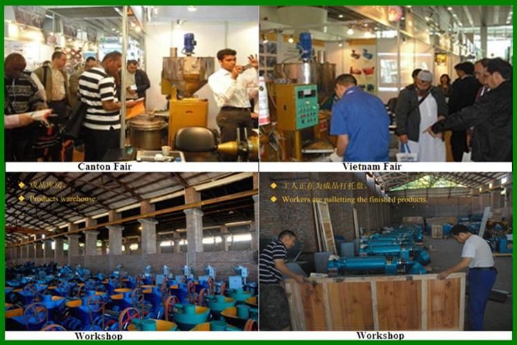 Small Oil Mill Machine 50kgs Per Hour Peanut Oil Expeller (YZYX70WZ)