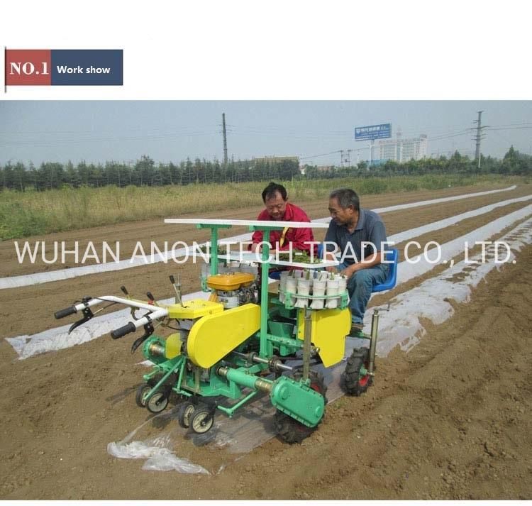 Anon Vegetable and Fruit Seedling Transfer Farm Transplant Equipment