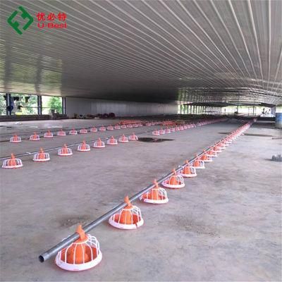 Best Quality Automatic Poultry Chicken Farm Shed Equipment for Sale