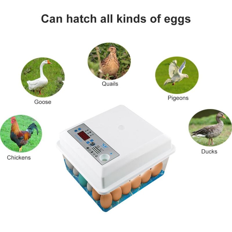 220V Automatic Temperature Control 20 Eggs Incubator Brooder Bird Quail Chick Hatchery Incubator Poultry Hatcher