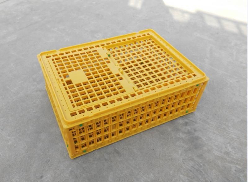 High Quality Chicken Cage, Plastic Cage for Chicken, Duck, Goose and Other Birds