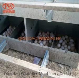 Poultry Farm Manual Egg Collection Box/Laying Nest