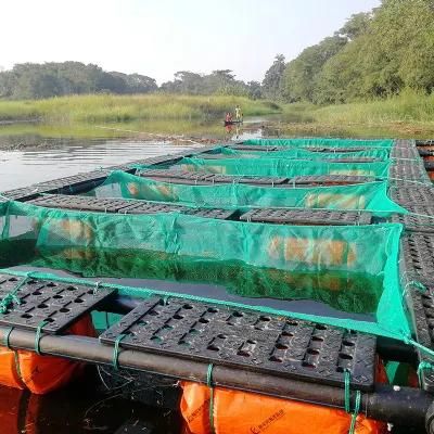 HDPE Pond Aquaculture Floating Fish Farm in Nigeria