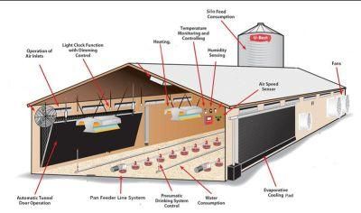 Modern Design Steel Structure Chicken House for Poultry Farm