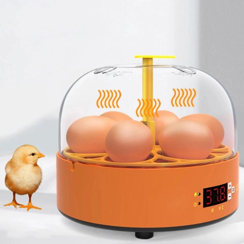 6 Eggs Fully Automatic Chicken Eggs Incubator Quail Goose Guinea Bird Egg Hatcher Household Incubators