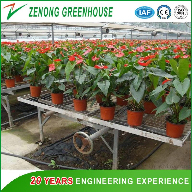 Good Quality Greenhouse Nursery Bed/Movable Seeding Bed/Rolling Bench