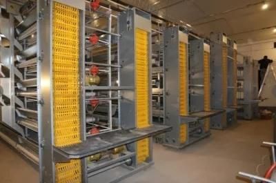 Chicken Farm Automatic Layer Egg Collection System