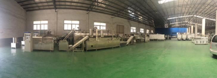 Dog Food and Fish Feed Production Line Manufacturer