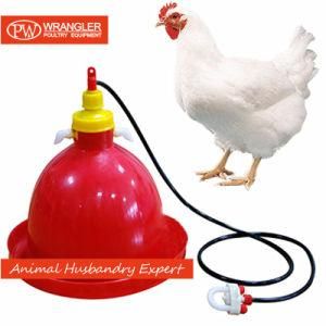Drinker for Chicken House Poultry Farm/ Poultry Feeders Drinkers Plasson