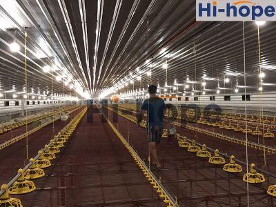 Chicken Farm Poultry Equipment Broiler Feeding Drinking Equipment for Sale