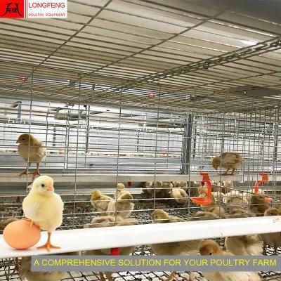 Automatic Farming Equipment High Density Poultry Drinkers Pullet Layer Chicken Cage