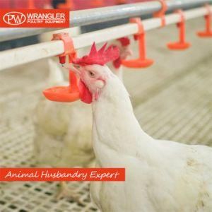 Chicken Nipple Drinking Line Poultry Water Nipple Drinker