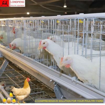 Longfeng Large Scale Farming Poultry Equipment for a Type of Layer Cage with High Quality