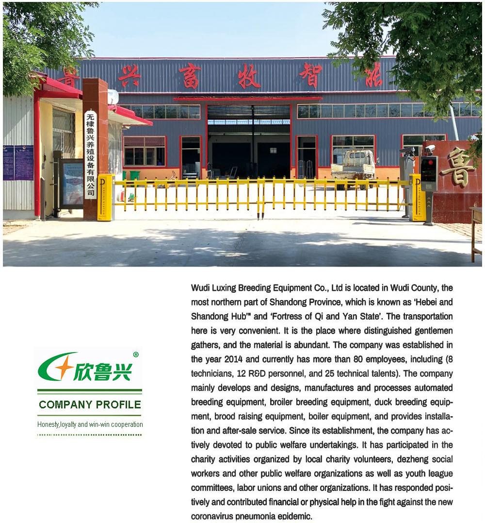 Modern Design Fully Automatic Layer Chicken Cage Equipment for Poultry Farm