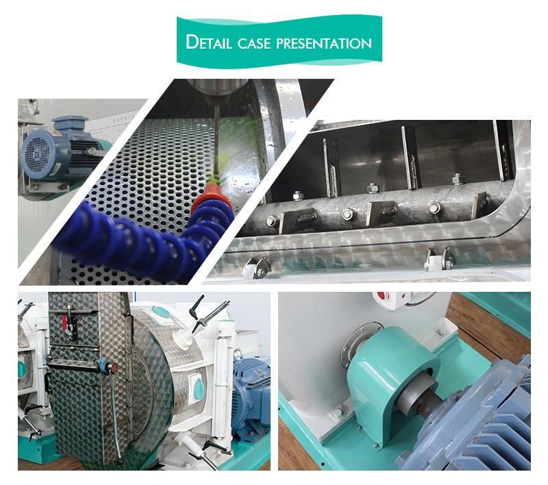 Ring Die Pellet Mill Machine for Livestock Feed Pellet Granulator