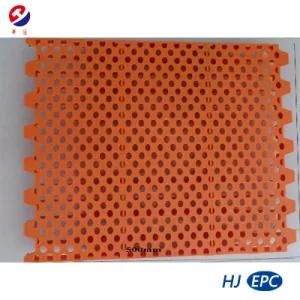 New Design Plastic Floor for Pig/Poultry Farms (round/long leakage hole)