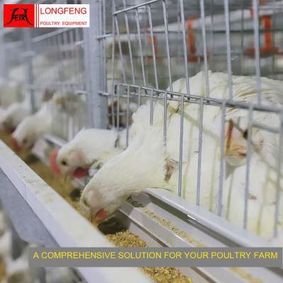 275g Hot Galvanized Wire Mesh and Sheet Poultry Equipment Chicken Cage