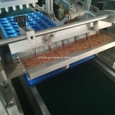 Automatic Seed Sowing Machine Tray Nursery Seedling Machine