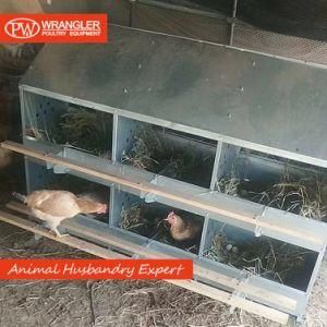 Poultry Farm Hot Galvanized Steel 24 Hole Manual Egg Nest Box