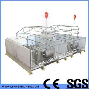 Individual Locating Galvanized Pig Gestation Farrowing Crates Adjustable PVC Fence