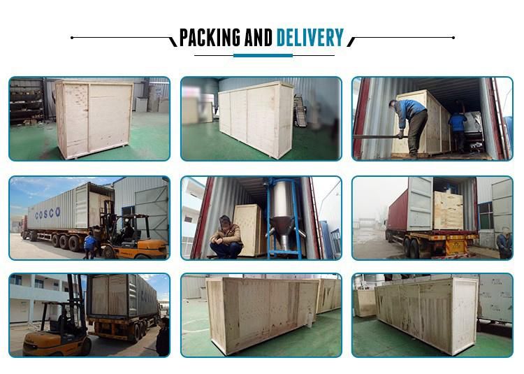 Animal Aquarium Pet Dog Cat Floating Fish Feed Pellet Production Machine Snacks Food Processing Making Extrusion Line