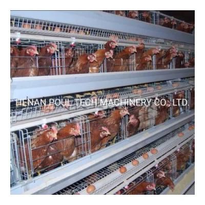 a Type Layer Chicken Battery Cage in Poultry Farm Hot Sale in Nigeria Kenya Zambia Uganda Tanzania