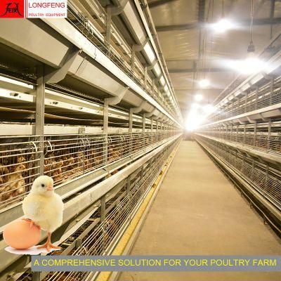 Stable Running Good Service Milking Machines Pullet Layer Chicken Cage
