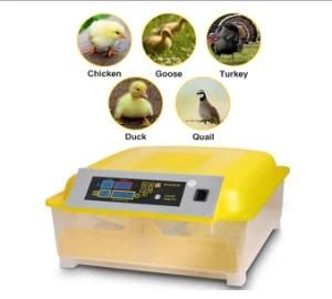 48 Chicken Eggs 12V Mini Egg Incubator for China