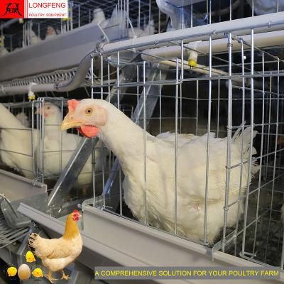 Mature Design, Durable and Sturdy Poultry Farming Equipment a Type Layer Cage